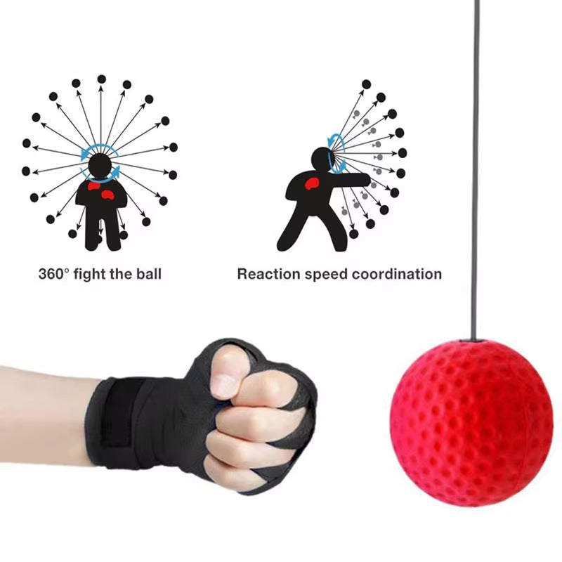 Boxing Speed Ball